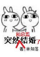 突然和总监结婚了50章
