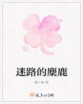 迷路的小麋鹿
