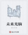 未来光脑使用手册luomei