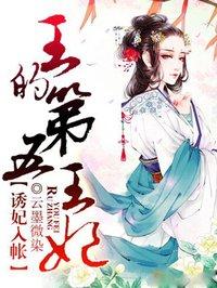 三王妃不好惹