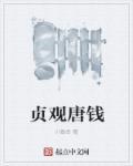 贞观唐钱有女主吗