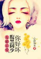 腹黑阔少你好坏 心静如水