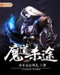 魔道后续