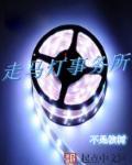 走马灯株式会社讽刺的婚姻结局