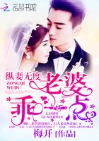 宠妻无度老婆乖一点