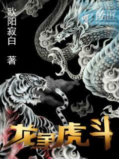 龙争虎斗最佳答案生肖