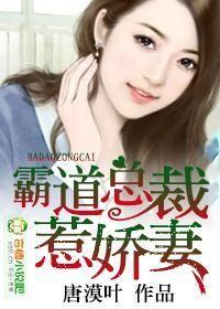 霸道总裁之娇妻宠成瘾