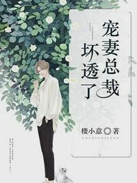 沐暖暖慕霆枭全文免费阅读马