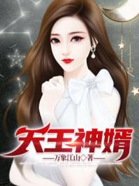 天王医婿全文免费阅读