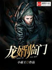 赘婿成龙免费阅读