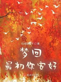 梦回最初你安好电子书