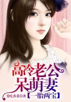 一胎两宝高冷老公呆萌妻