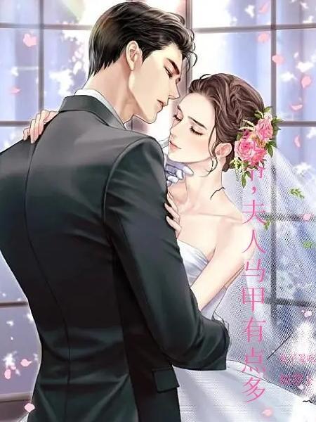 纪少你的夫人又掉马了