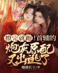 首辅撩妻日常完整版免费若磐