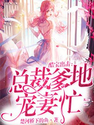酷宝宝总裁爹地杀手妻