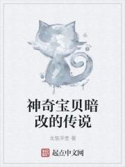 神奇宝贝中的闇夜