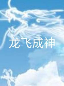 主角是龙飞