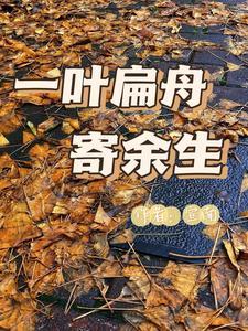 一叶扁舟的意境