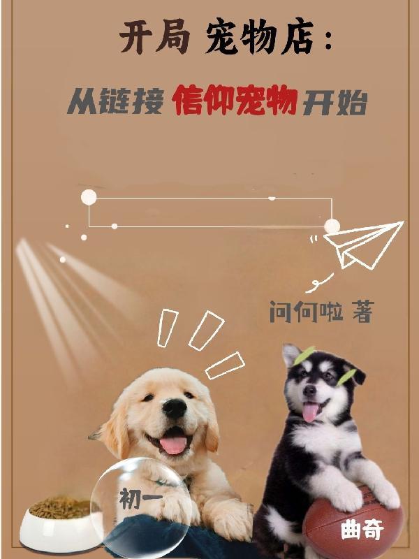 宠物的游戏
