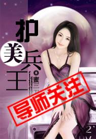 护美兵王叶舟全本