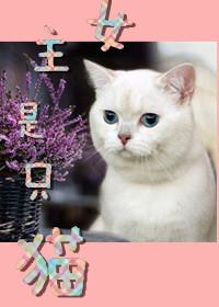 女主是只猫的甜宠现代