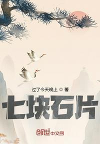 七块石片小阎